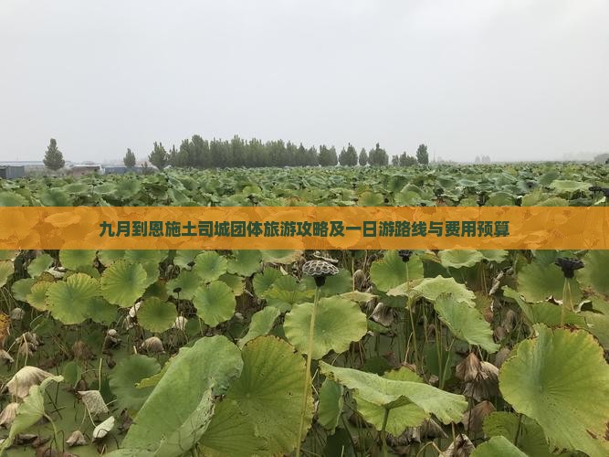九月到恩施土司城团体旅游攻略及一日游路线与费用预算