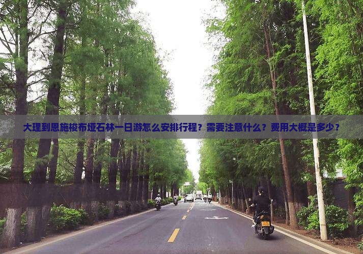 大理到恩施梭布垭石林一日游怎么安排行程？需要注意什么？费用大概是多少？