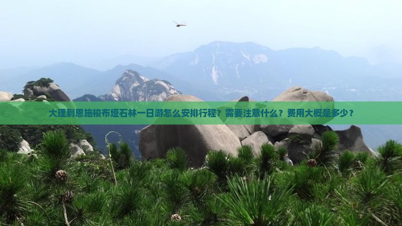 大理到恩施梭布垭石林一日游怎么安排行程？需要注意什么？费用大概是多少？