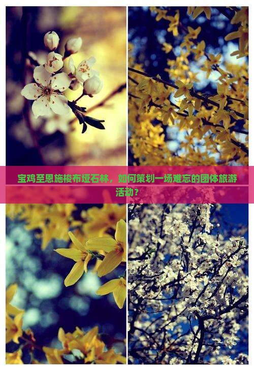 宝鸡至恩施梭布垭石林，如何策划一场难忘的团体旅游活动？