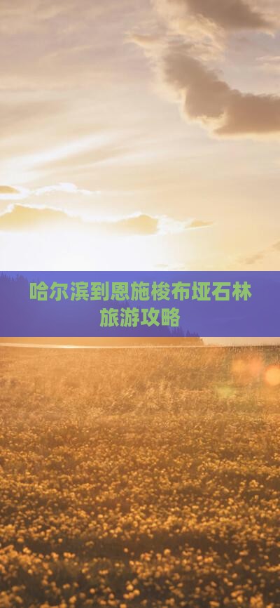 哈尔滨到恩施梭布垭石林旅游攻略