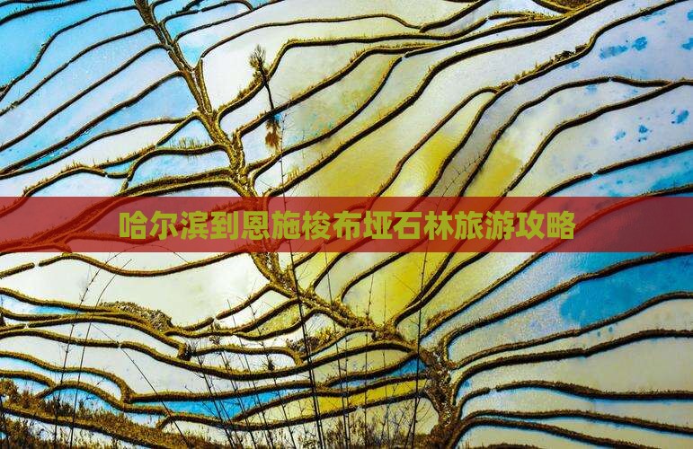哈尔滨到恩施梭布垭石林旅游攻略