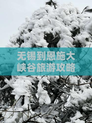 无锡到恩施大峡谷旅游攻略｜门票购买指南