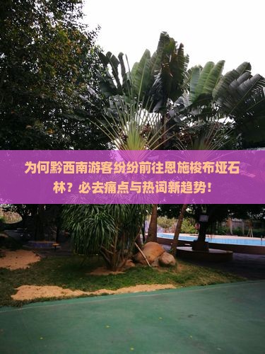 为何黔西南游客纷纷前往恩施梭布垭石林？必去痛点与热词新趋势！