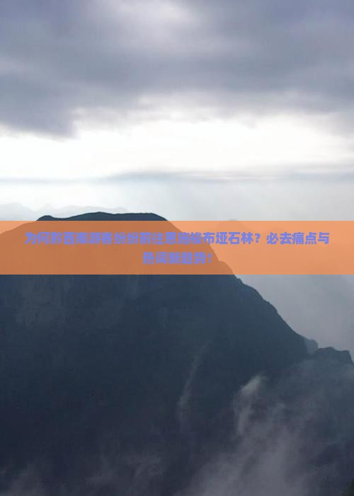 为何黔西南游客纷纷前往恩施梭布垭石林？必去痛点与热词新趋势！