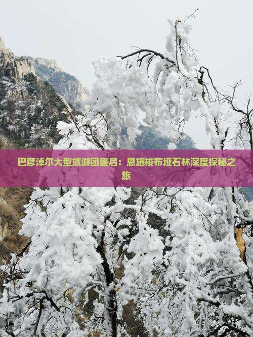 巴彦淖尔大型旅游团盛启：恩施梭布垭石林深度探秘之旅