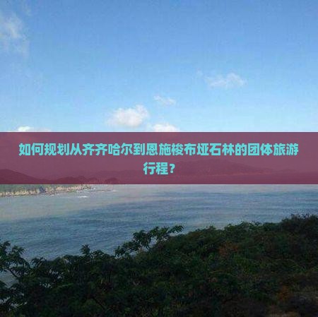 如何规划从齐齐哈尔到恩施梭布垭石林的团体旅游行程？