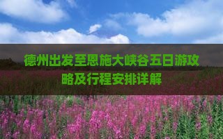 德州出发至恩施大峡谷五日游攻略及行程安排详解