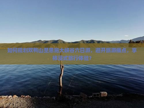如何规划双鸭山至恩施大峡谷六日游，避开旅游痛点，享柿浸式旅行体验？