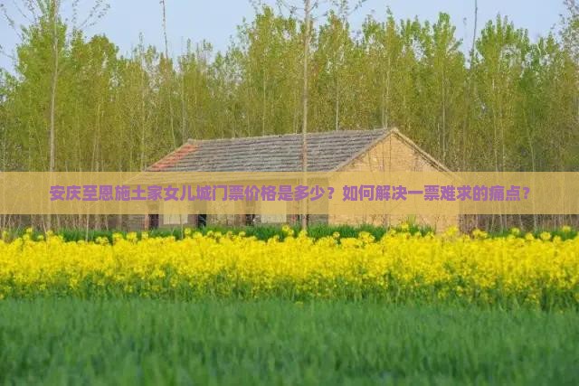 安庆至恩施土家女儿城门票价格是多少？如何解决一票难求的痛点？