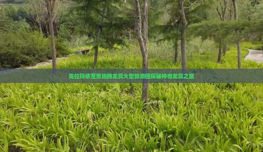 克拉玛依至恩施腾龙洞大型旅游团探秘神奇龙洞之旅