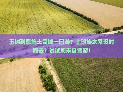 玉树到恩施土司城一日游？上班族太累没时间去？试试周末自驾游！