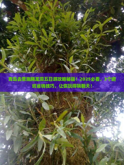 青岛去恩施腾龙洞五日游