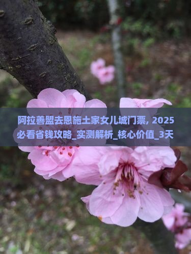 阿拉善盟去恩施土家女儿城门票 阿拉善盟去恩施土家女儿城门票