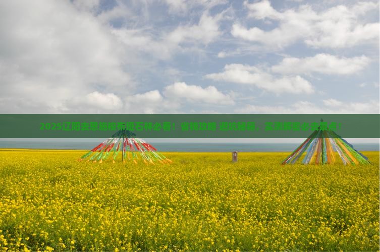 辽阳去恩施梭布垭石林攻略