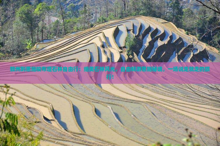 赣州到恩施梭布垭石林自由行
