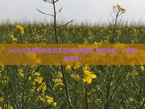 元旦到恩施腾龙洞五日游