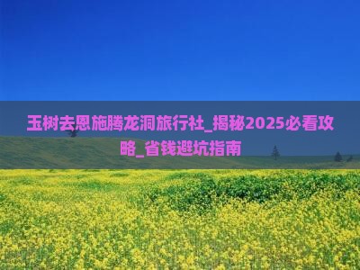 玉树去恩施腾龙洞旅行社
