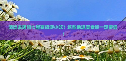 清远去恩施七星寨旅游小吃