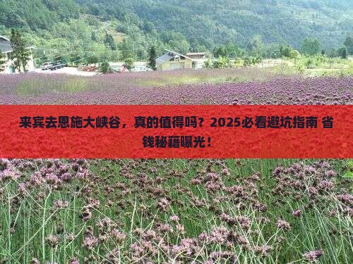 来宾到恩施大峡谷旅游