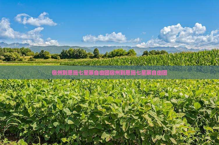 宿州到恩施七星寨自由团