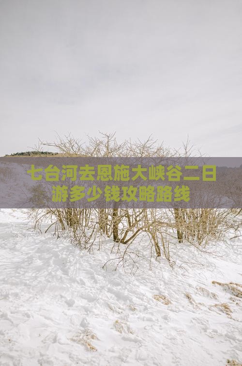 七台河去恩施大峡谷二日游