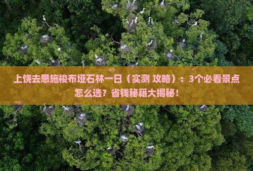 上饶去恩施梭布垭石林一日