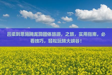 吕梁到恩施腾龙洞团体旅游