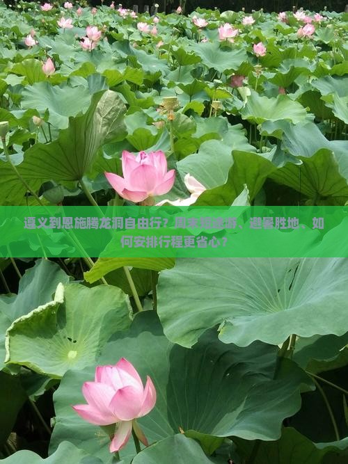 遵义到恩施腾龙洞自由行？周末短途游、避暑胜地、如何安排行程更省心？