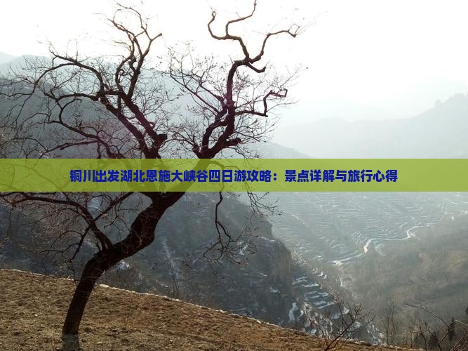 铜川出发湖北恩施大峡谷四日游攻略：景点详解与旅行心得