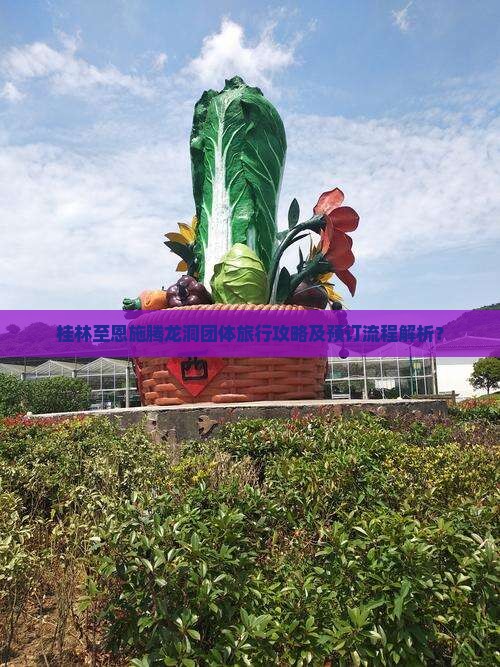 桂林至恩施腾龙洞团体旅行攻略及预订流程解析？