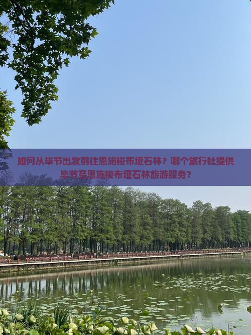 如何从毕节出发前往恩施梭布垭石林？哪个旅行社提供毕节至恩施梭布垭石林旅游服务？