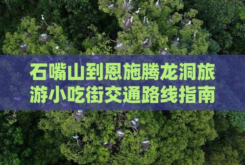 石嘴山到恩施腾龙洞旅游小吃街交通路线指南