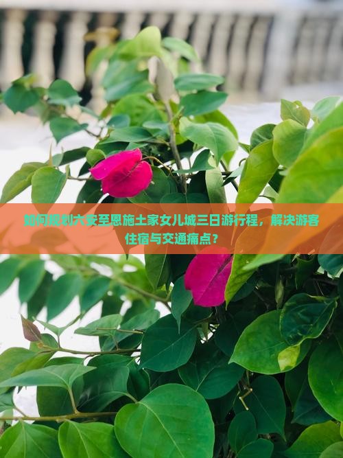 如何规划六安至恩施土家女儿城三日游行程，解决游客住宿与交通痛点？