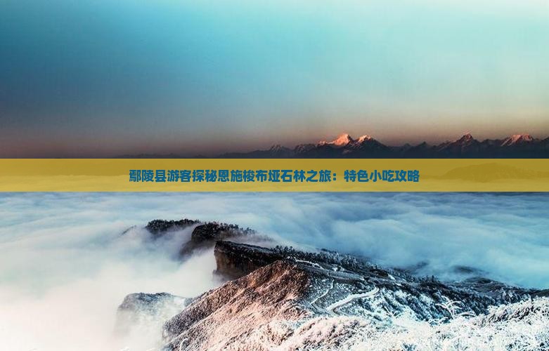 鄢陵县游客探秘恩施梭布垭石林之旅：特色小吃攻略