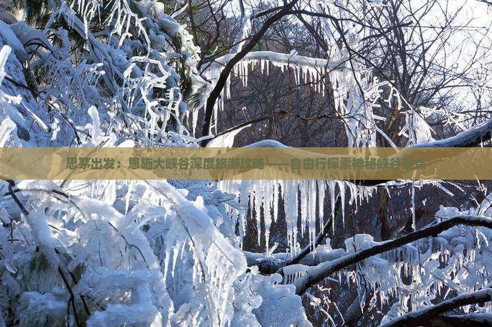 思茅出发：恩施大峡谷深度旅游攻略——自由行探索神秘峡谷景点