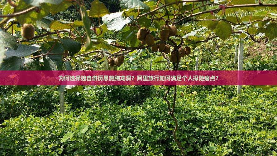 为何选择独自游历恩施腾龙洞？阿里旅行如何满足个人探险痛点？
