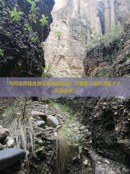 为何选择独自游历恩施腾龙洞？阿里旅行如何满足个人探险痛点？