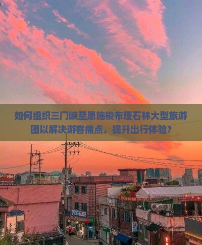 如何组织三门峡至恩施梭布垭石林大型旅游团以解决游客痛点，提升出行体验？