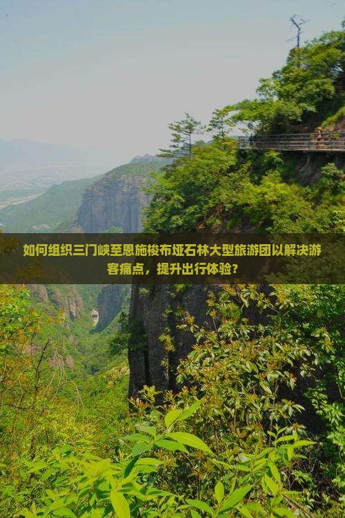 如何组织三门峡至恩施梭布垭石林大型旅游团以解决游客痛点，提升出行体验？
