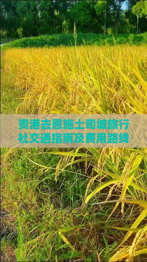 贵港去恩施土司城旅行社交通指南及费用路线