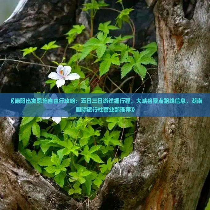 《德阳出发恩施自由行攻略：五日三日游详细行程，大峡谷景点路线信息，湖南国际旅行社营业部推荐》