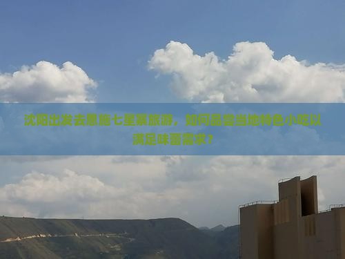 沈阳出发去恩施七星寨旅游，如何品尝当地特色小吃以满足味蕾需求？