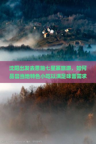 沈阳出发去恩施七星寨旅游，如何品尝当地特色小吃以满足味蕾需求？