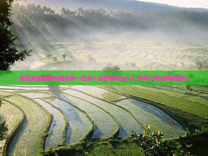 枣庄到恩施梭布垭石林一日游？如何高效出行？快用AI规划你的旅行
