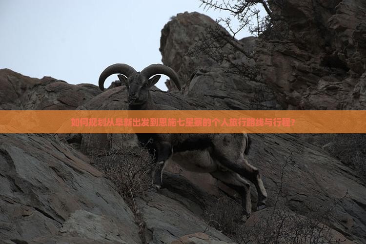 如何规划从阜新出发到恩施七星寨的个人旅行路线与行程？