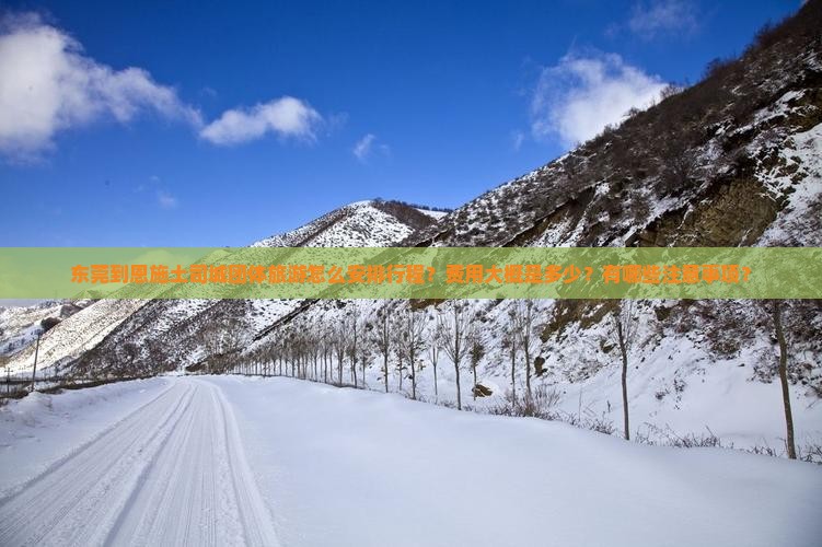 东莞到恩施土司城团体旅游怎么安排行程？费用大概是多少？有哪些注意事项？