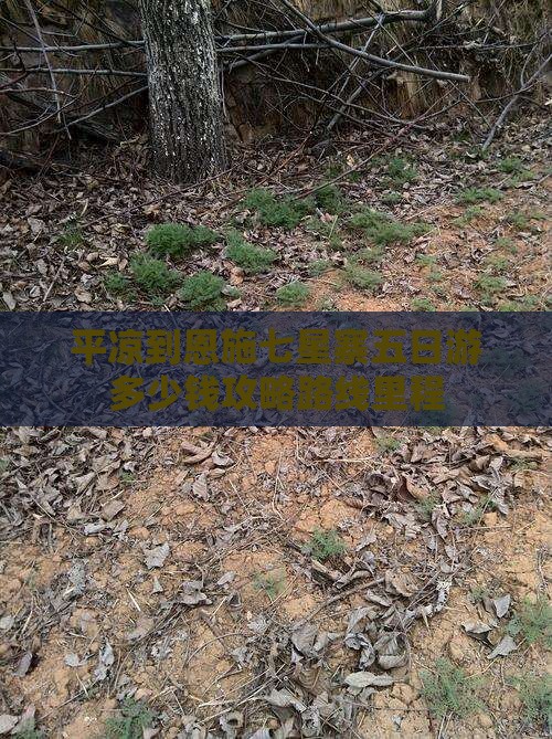 平凉到恩施七星寨五日游多少钱攻略路线里程