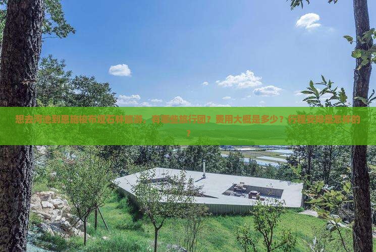 想去河池到恩施梭布垭石林旅游，有哪些旅行团？费用大概是多少？行程安排是怎样的？