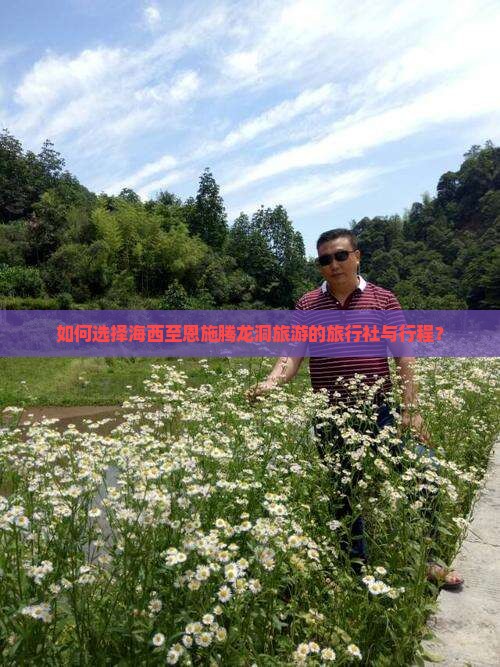 如何选择海西至恩施腾龙洞旅游的旅行社与行程？